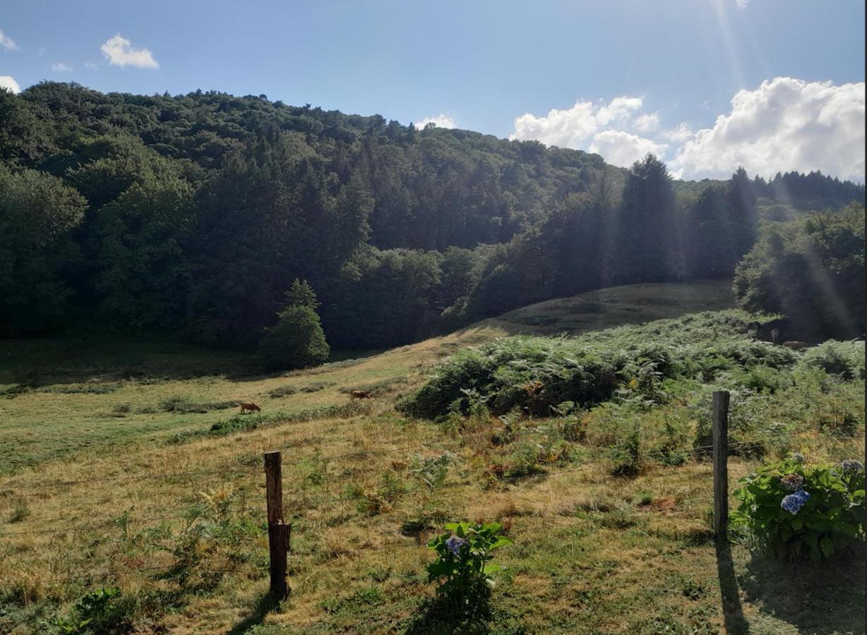 Chalet Charmant A Saint-Sylvestre Avec Terrasse Et Jardin Ambazac 外观 照片